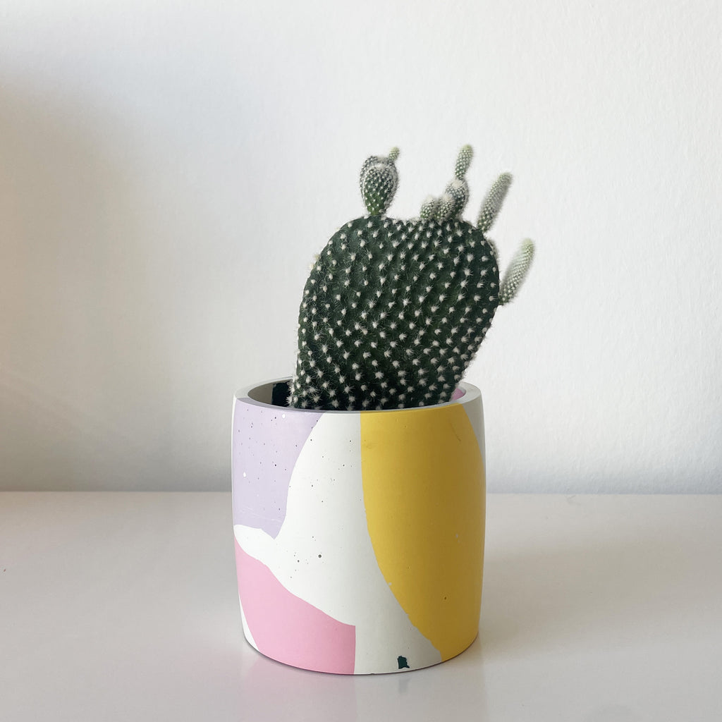 Placeholder Image - Insidestore