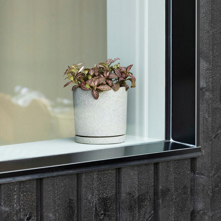 Straight Sided Plant Pot White Medium | Hay | Insidestore