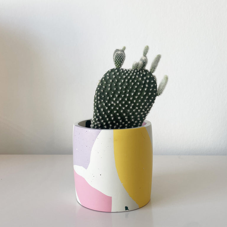 Chunky Chip Plant Pot | Salt Studios | Insidesstore