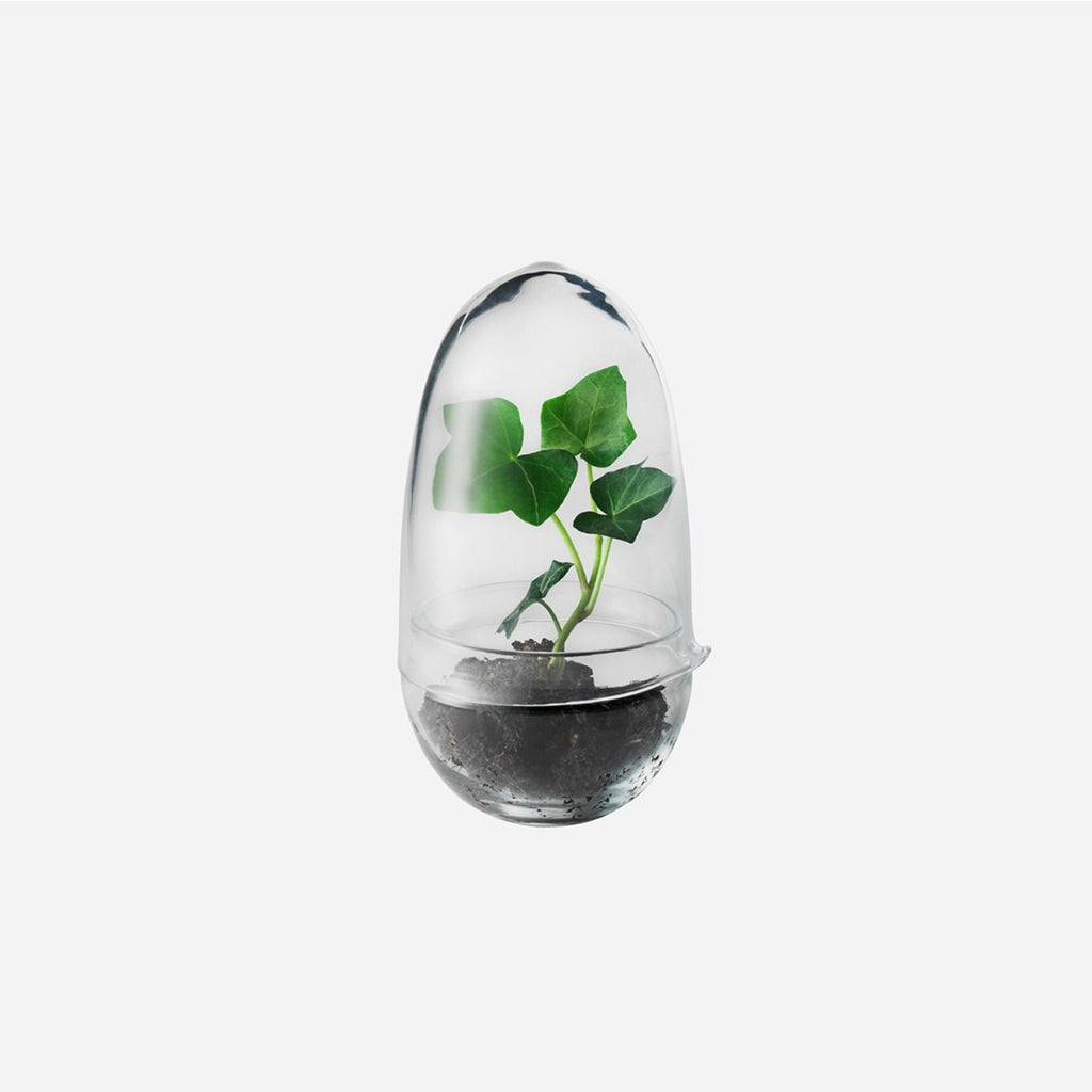 Placeholder Image - Insidestore