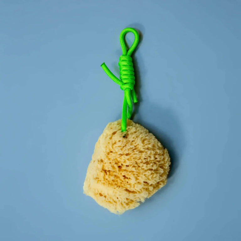 Natural Sponge Green | Suite702 | Insidestore