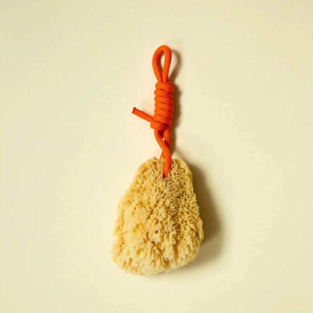 Natural Sea Sponge