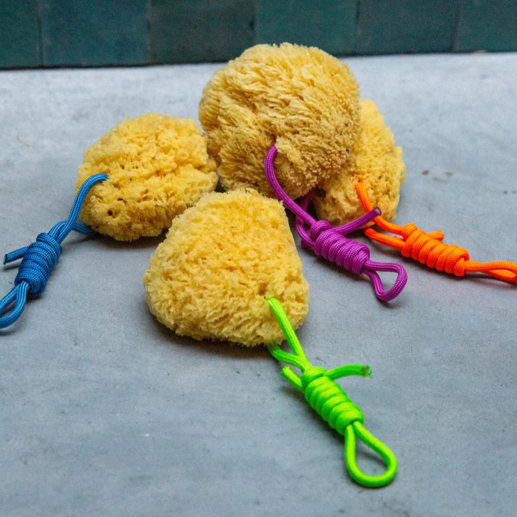 Natural Sea Sponge