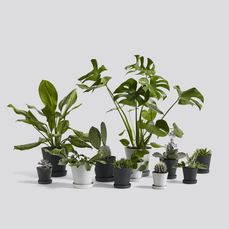 Plant Pots by HAY | Insidestore 