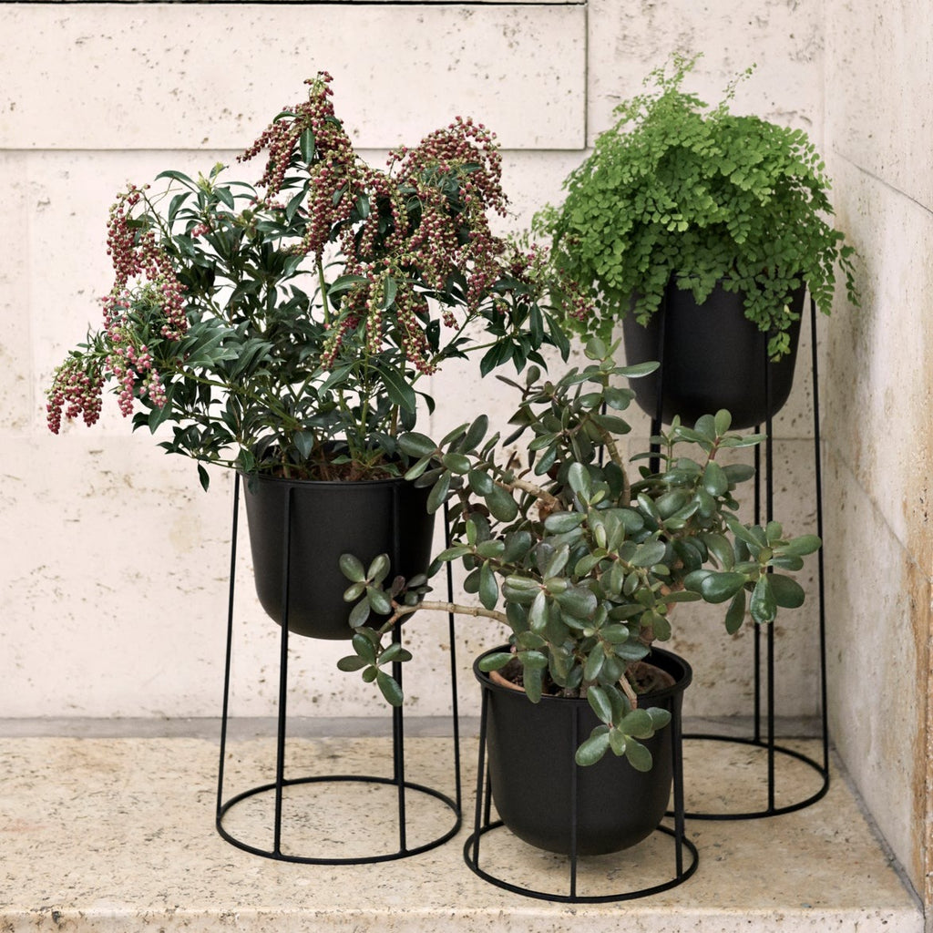 Placeholder Image - Insidestore