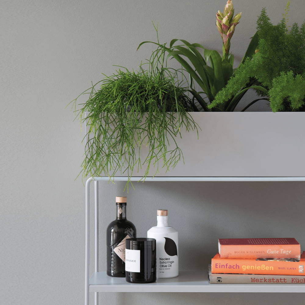 Placeholder Image - Insidestore